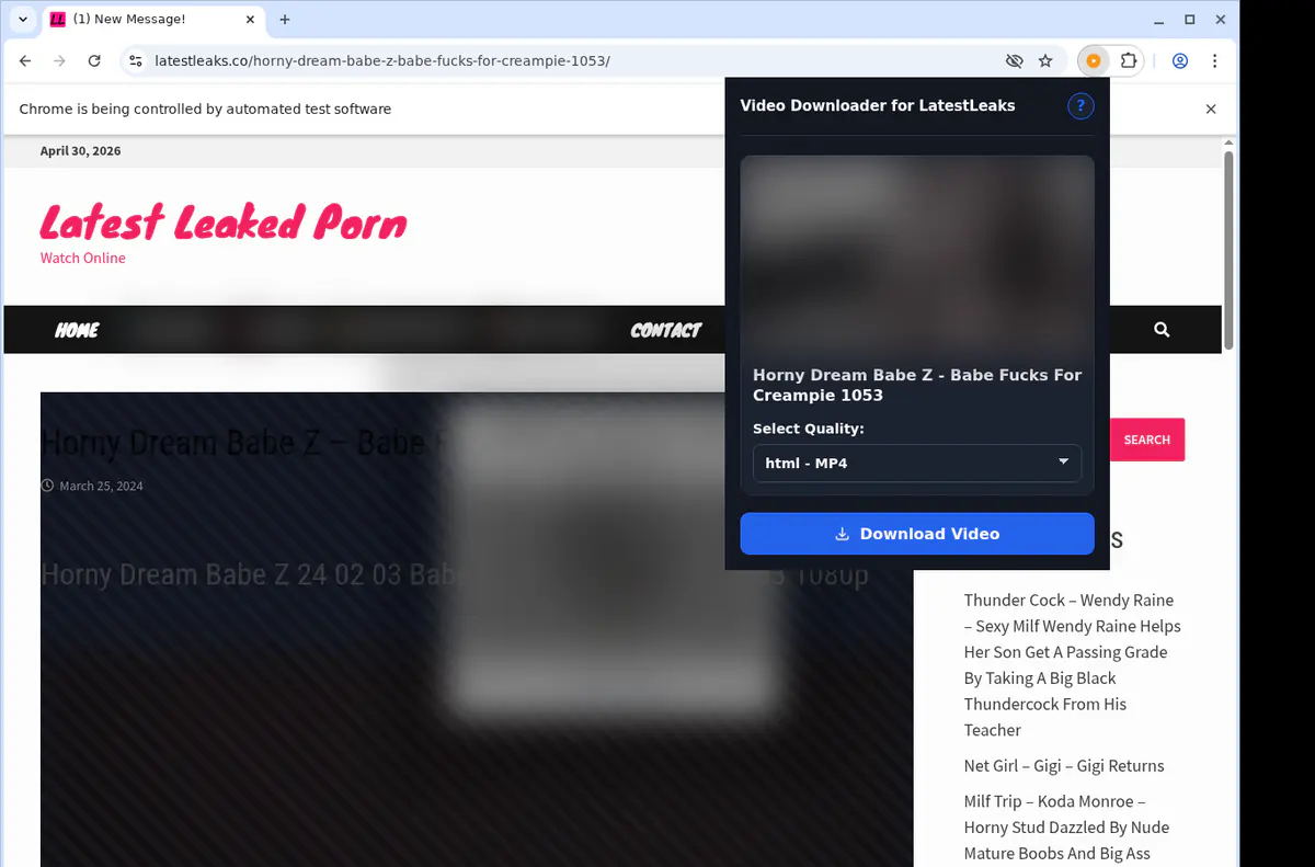 Latestleaks Video Downloader browser extension screenshot 3